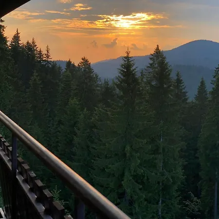 Panorama شقة